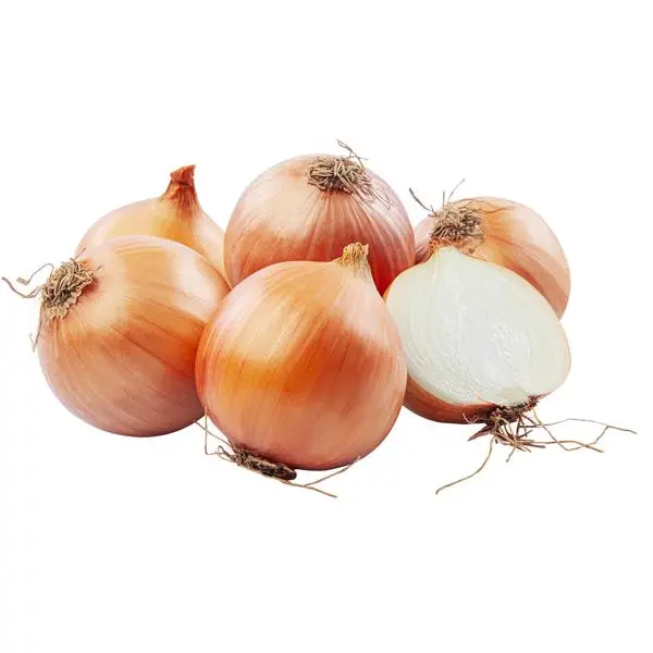 Cebola