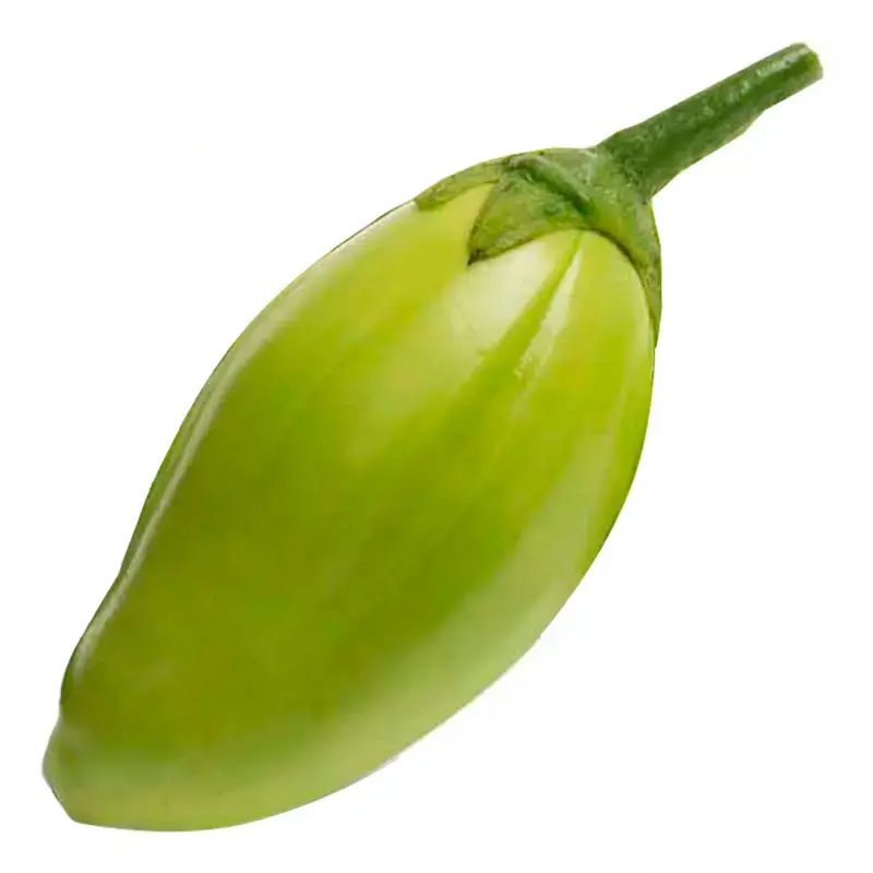 Jiló