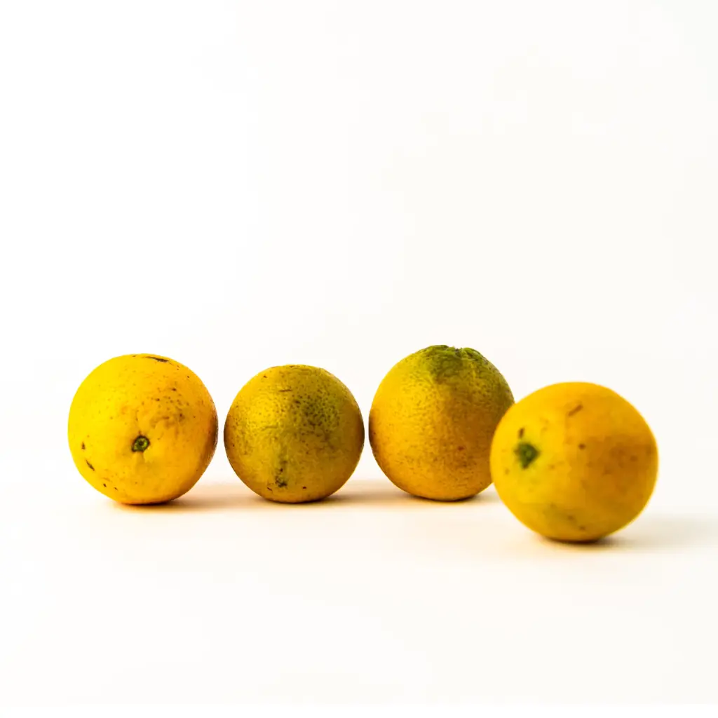 Laranja Pera