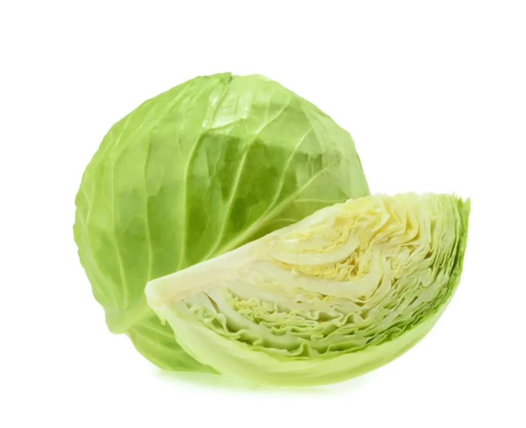 Repolho Verde