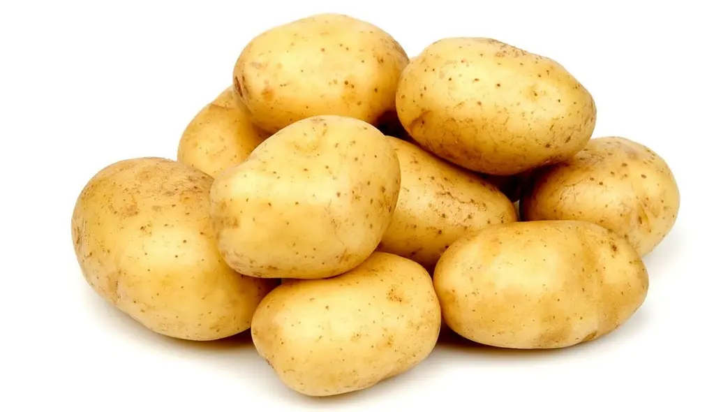 Batata Florão 25kg