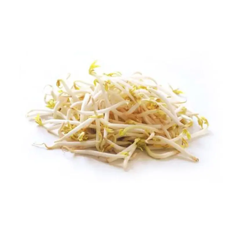 Broto De Feijão 500g (moyashi)