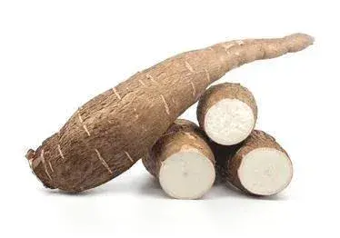 Mandioca com casca 20kg