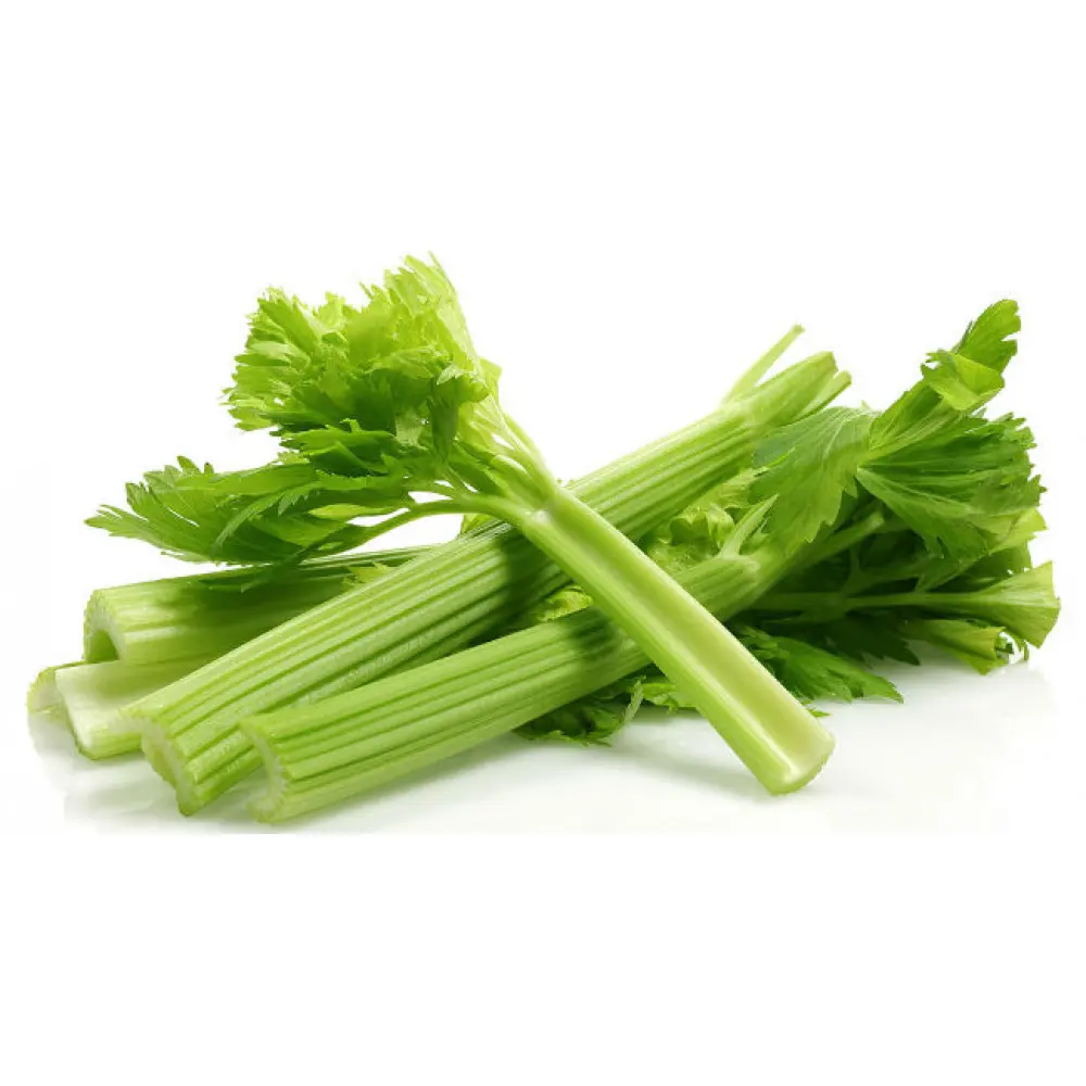 Salsão