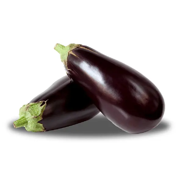 Berinjela