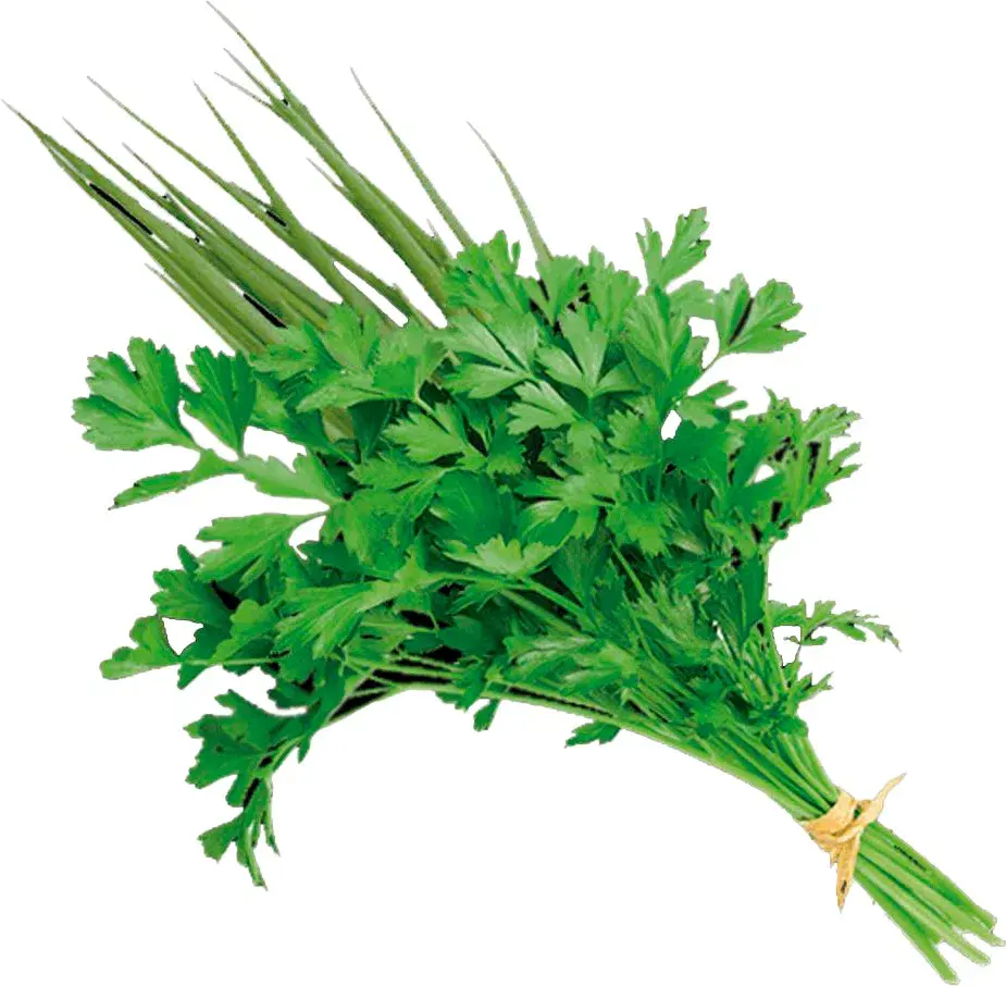Cheiro Verde (Salsa + Cebolinha)