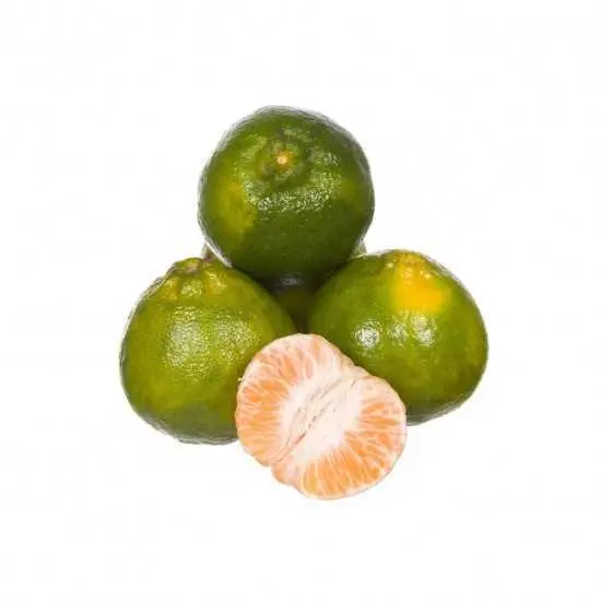Mexerica Ponkan 15kg