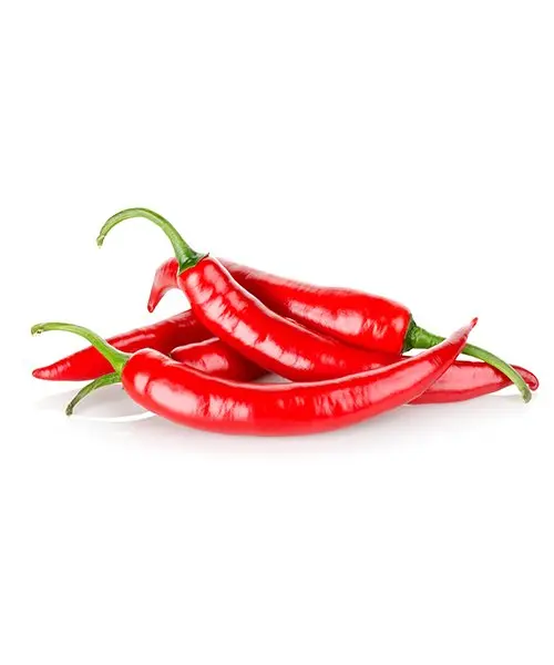 Pimenta Dedo de Moça