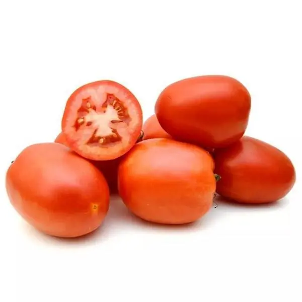 Tomate Italiano